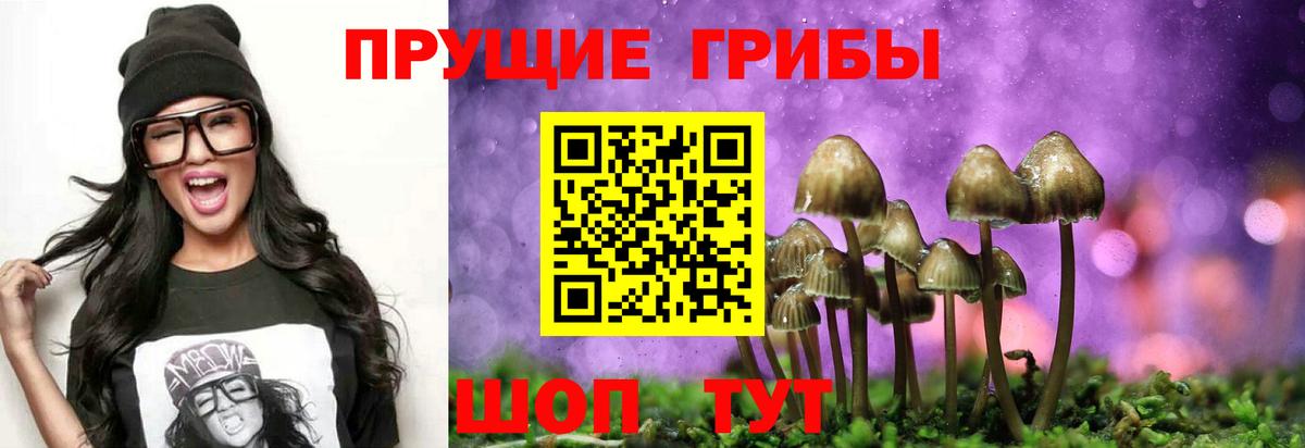 Псилоцибиновые грибы GOLDEN TEACHER  Вход с VPN  Дубна 